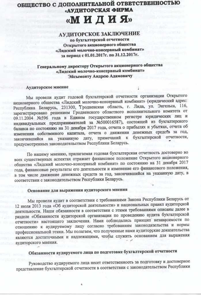 Аудиторское заключение по бухгалтерской отчетности 2018.jpg
