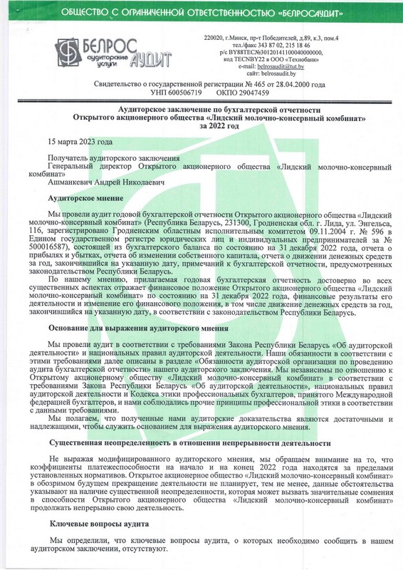 аудит%20заключение%20(1).jpg
